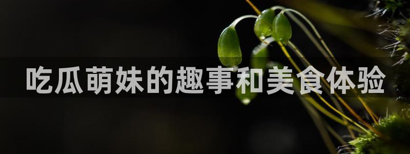 吃瓜胃酸怎么办：吃瓜萌妹的趣事和美食体验