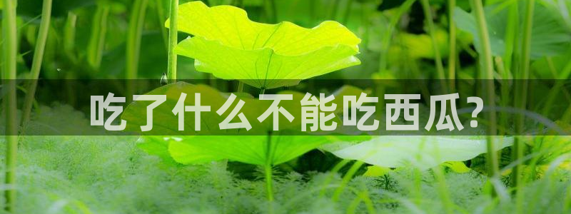 各种网红爆料吃瓜