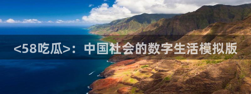 51吃瓜今日必吃刀刀：<58吃瓜>：中国社会的数字生活模拟版