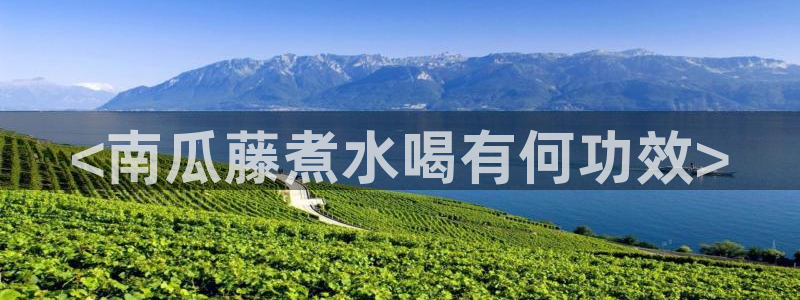 51cg今日吃瓜热门:<南瓜藤煮水喝有何功效>