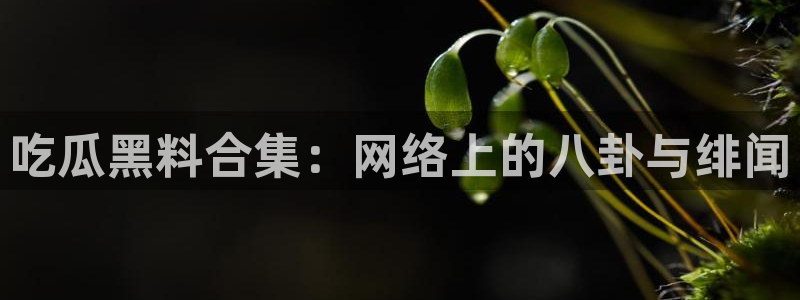 51吃瓜今日吃瓜必吃莫里秀：吃瓜黑料合集：网络上的八卦与绯闻