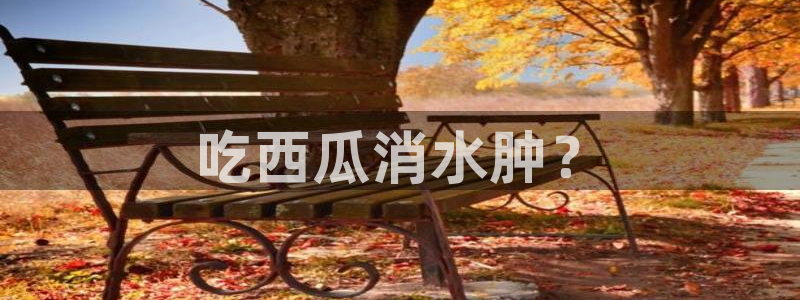 吃瓜小说