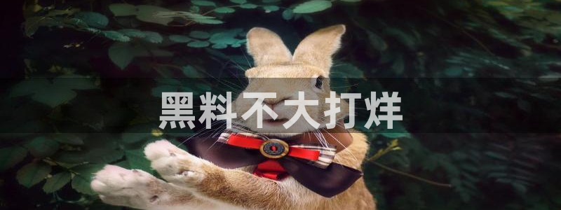 www.黑料.com