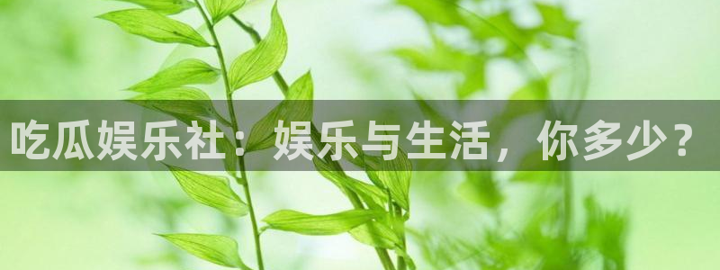 51吃瓜全网更新最快