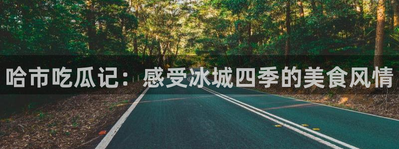 国产精品韩日中出吃瓜：哈市吃瓜记：感受冰城四季的美食风情