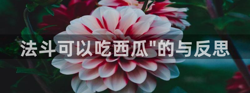 51吃瓜今日吃瓜官网最新：法斗可以吃西瓜\