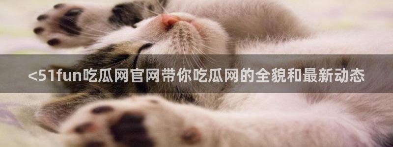 51cg吃瓜网每日吃瓜