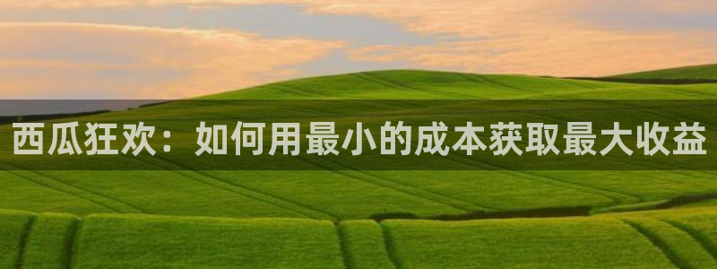 吃小瓜会长胖吗：西瓜狂欢：如何用最小的成本获取最大收益
