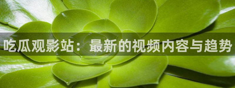 www.吃瓜：吃瓜观影站：最新的视频内容与趋势