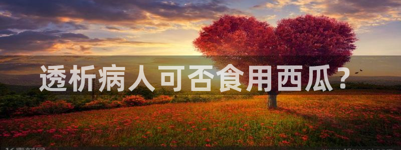 风静言我在年代文里吃瓜看戏