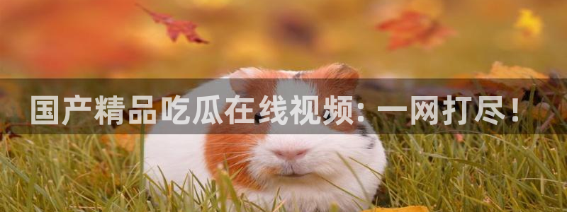 吃瓜新闻