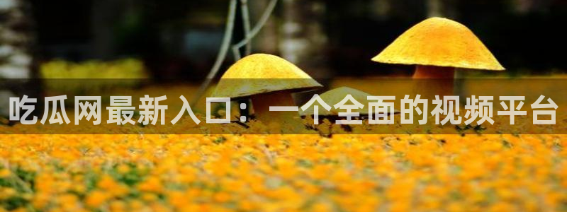 高血糖可以吃瓜吗