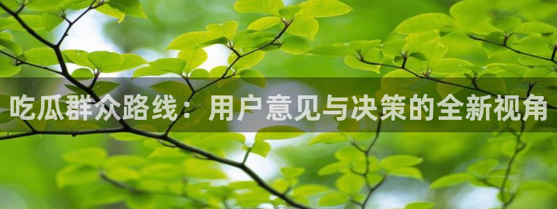 豆瓣自由吃瓜基地：吃瓜群众路线：用户意见与决策的全新视角
