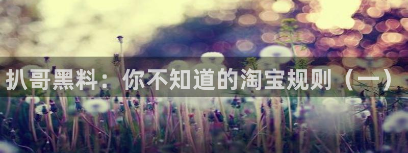 718.sⅹ 吃瓜:扒哥黑料:你不知道的淘宝规则(一)