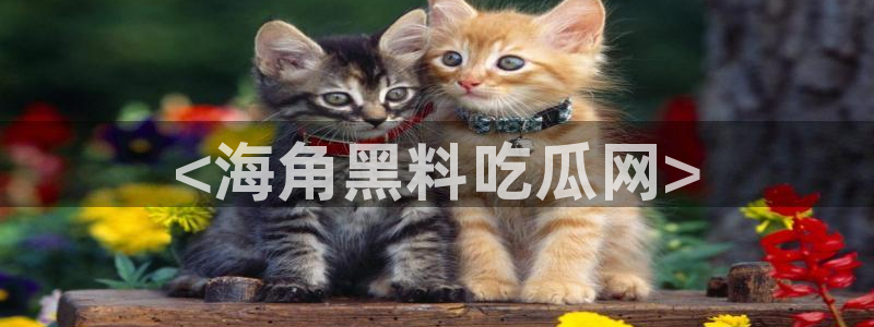51吃瓜全网更新最快点:<海角黑料吃瓜网>