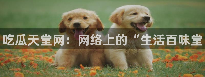 51cg今日吃瓜热门大瓜:吃瓜天堂网:网络上的“生活百味堂