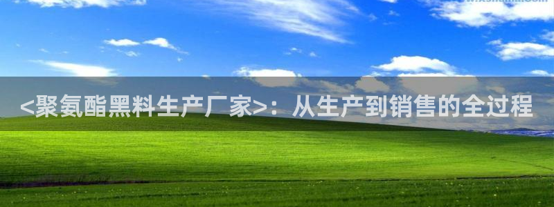 吃瓜胃酸怎么办：<聚氨酯黑料生产厂家>：从生产到销售的全过程