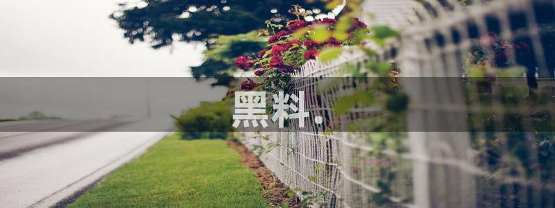黑料曝光