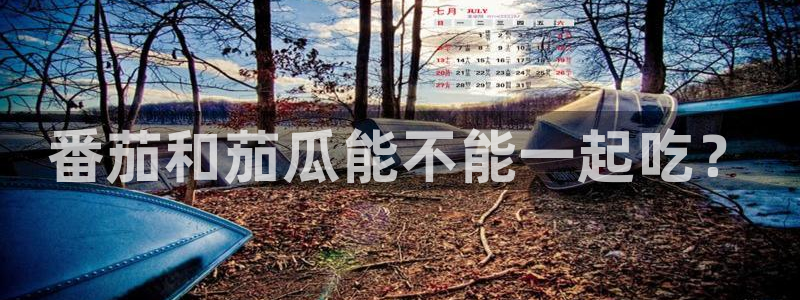 51吃瓜网今日吃瓜入口：番茄和茄瓜能不能一起吃？