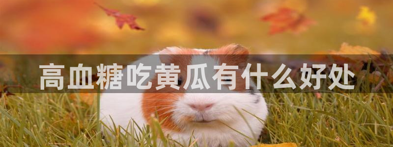 吃瓜网998.su永久有效:高血糖吃黄瓜有什么好处