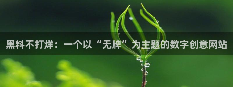 吃瓜胃酸怎么办:黑料不打烊:一个以“无牌”为主题的数字创意网站
