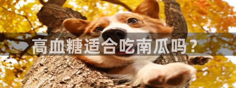 51吃瓜出品短剧怎么下载