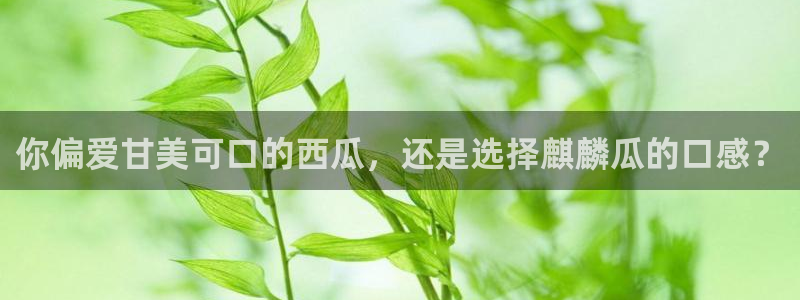 51吃瓜今日吃瓜入口最新：你偏爱甘美可口的西瓜，还是选择麒麟瓜的口感？