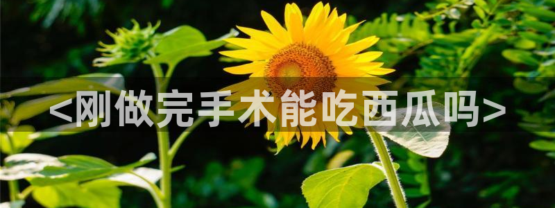 51吃瓜网每日榜单:<刚做完手术能吃西瓜吗>