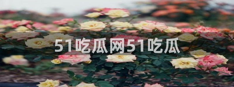 cg吃瓜群众最新版网址:51吃瓜网51吃瓜